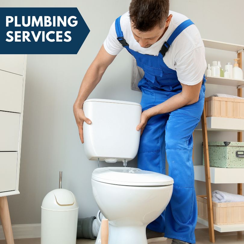 Plumbing Company in Milner, GA